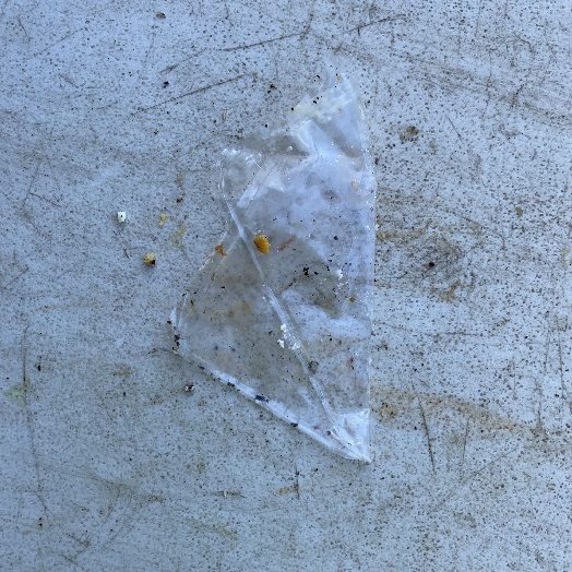 Selected waste item
